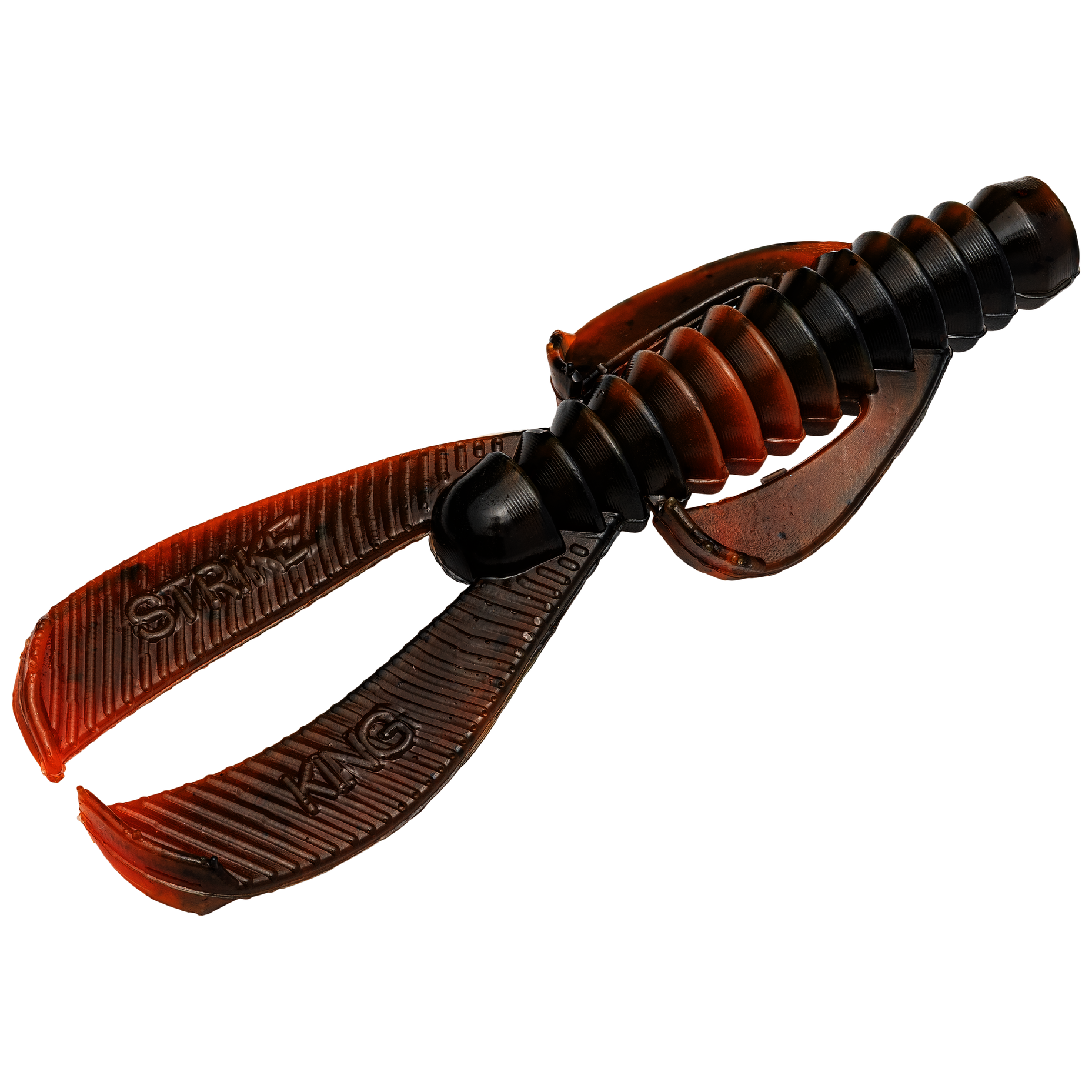 rgnbug-
