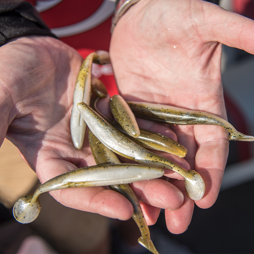 Strike King Swim'n Caffeine Shad Strike King Swim'n Caffeine Shad Swimbait ( SCSD) - Pick Your Size &amp; Color, 7-Pack Caffeine Shad Soft Plastic