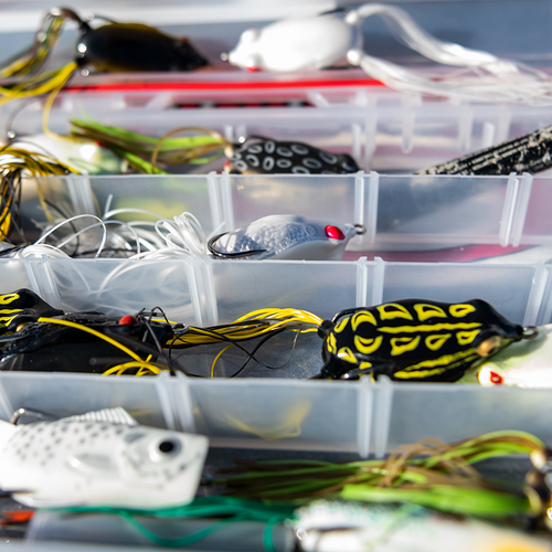 KVD Sexy Frog | Strike King Lure Company