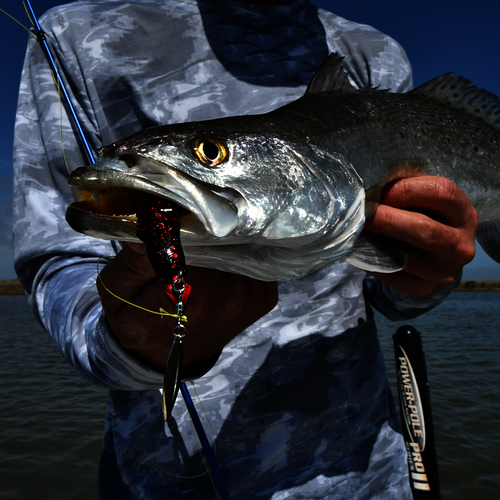 Trout Master Incy Grub 6cm - Esche Morbide In Gomma Per Pesca Alla Trota, Aroma Formaggio Aglio, 6 Pezzi - 3