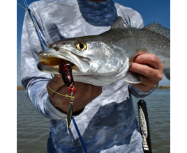 best speckled trout fishing lures Box | Fish Like an Expert The Strike King Trout Magic incorporates a proven speckled sea trout catching bait with the added flash of an under spin blade Strike King Speckled Trout Magic