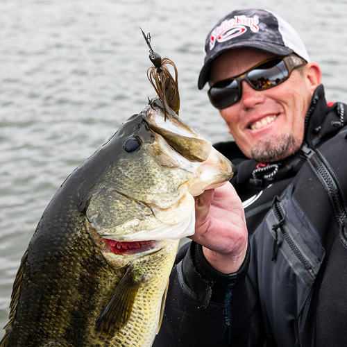 Thunder Cricket Vibrating Swimming Jig 3/8oz | Strike King